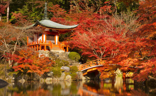 /Magazine/2020/skin/Daigoji Temple Kyoto Japan_iStock.jpg